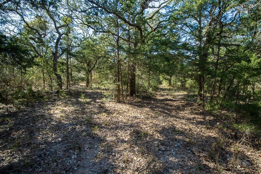 The Cole Ranch presents a rare opportunity to acquire 259+/- - photo 5