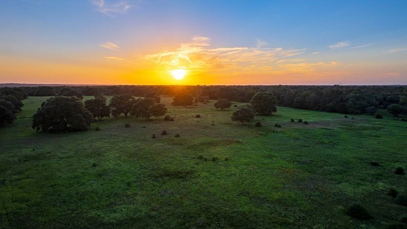 The Cole Ranch presents a rare opportunity to acquire 259+/- - photo 10