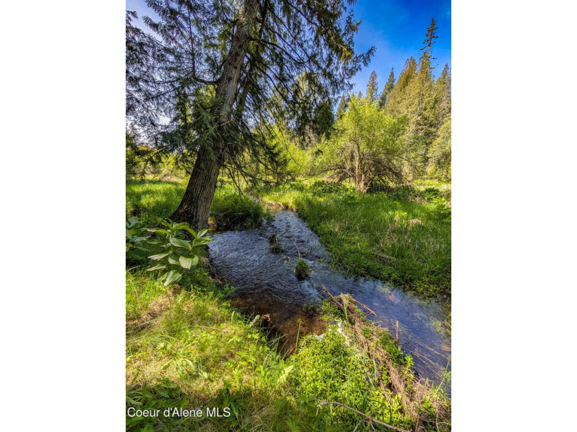 For the first time in over 60 years, one of Sagle's true legacy - photo 4