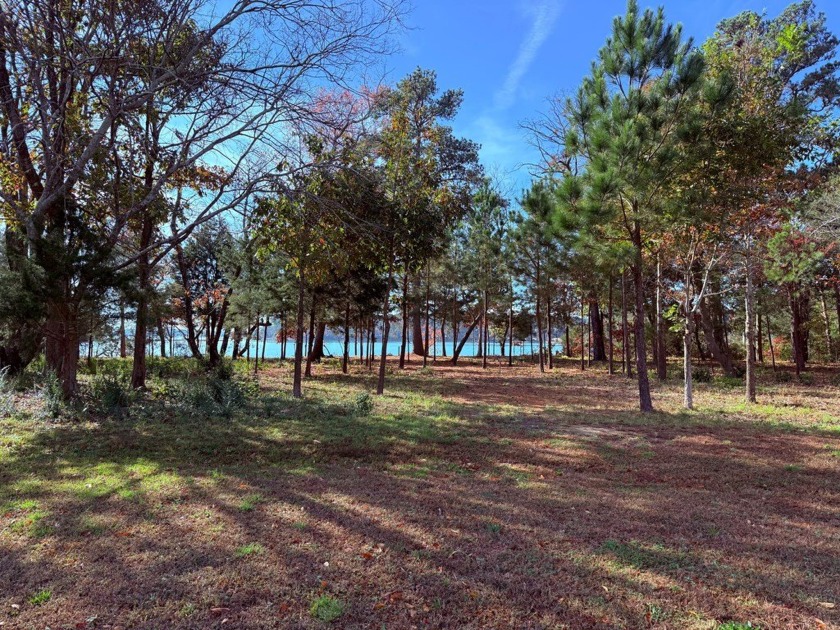 Introducing a premier WATERFRONT homesite that offers - photo 2