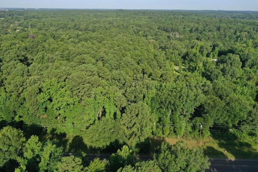 Endless potential awaits on this 7.8730 acre tract of unimproved - photo 2