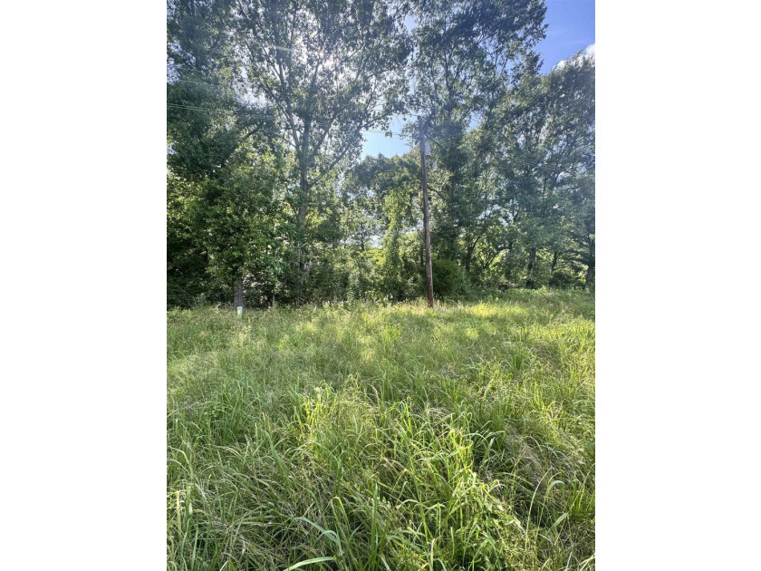 Endless potential awaits on this 7.8730 acre tract of unimproved - photo 5