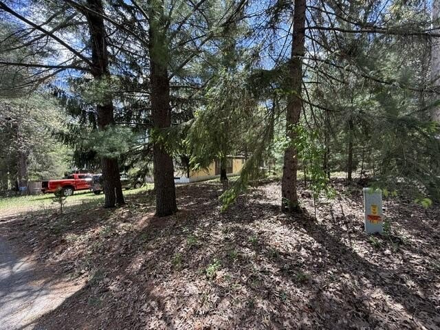 FOR SALE: Ultimate Wooded Lake Retreat Near Goose LakeEscape to - photo 4