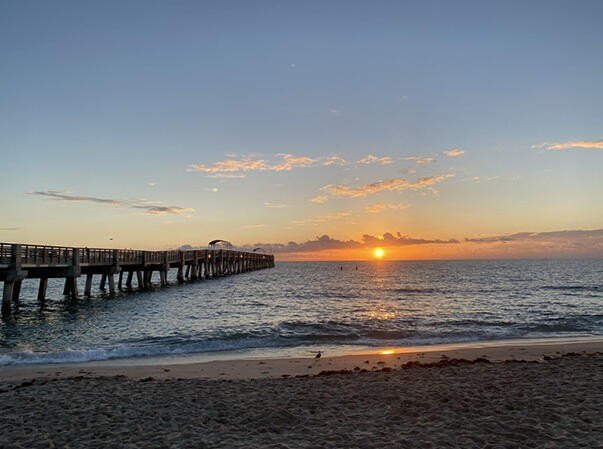 Build your dream home in the highly sought-after Parrot Cove - photo 17