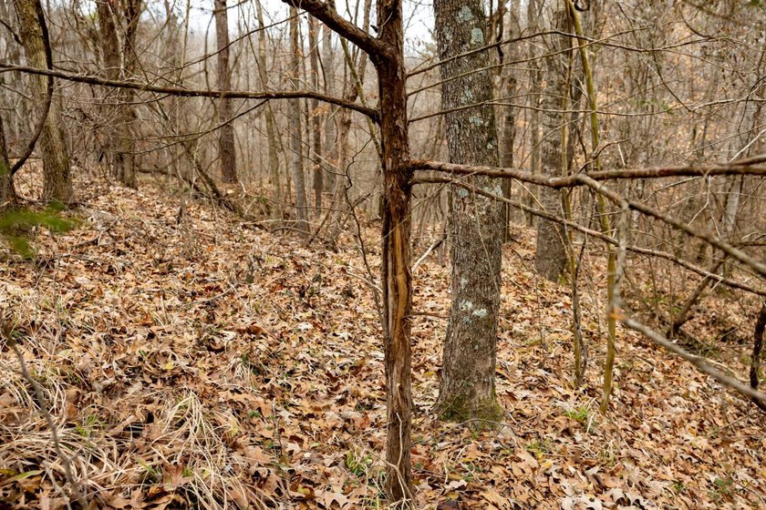 Nestled in the rolling hills of Warren County, Mississippi, this - photo 2