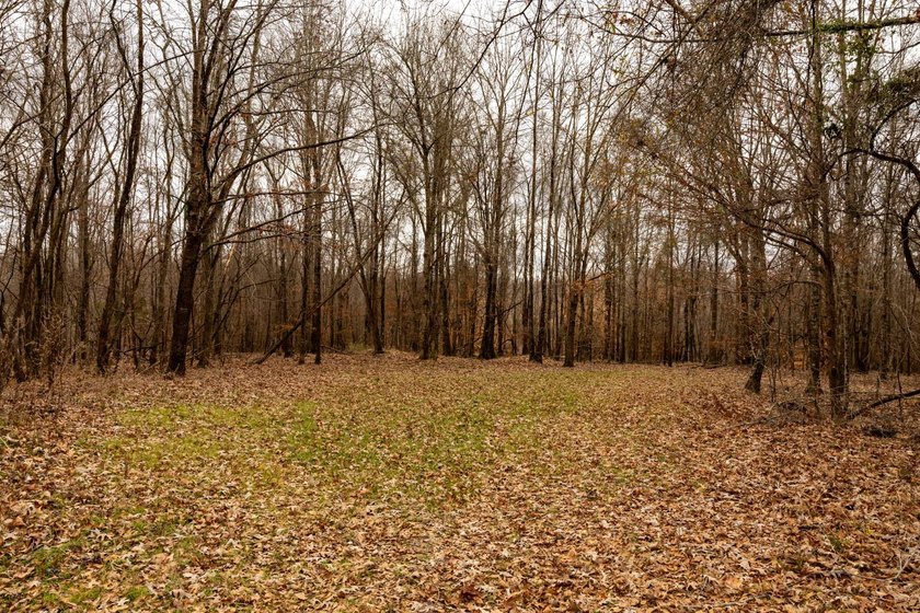 Nestled in the rolling hills of Warren County, Mississippi, this - photo 3