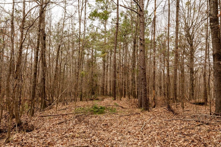 Nestled in the rolling hills of Warren County, Mississippi, this - photo 6