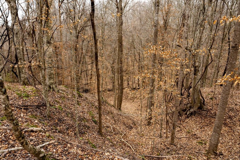 Nestled in the rolling hills of Warren County, Mississippi, this - photo 7