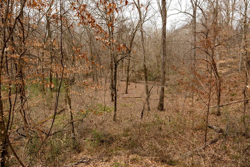 Nestled in the rolling hills of Warren County, Mississippi, this - photo 10