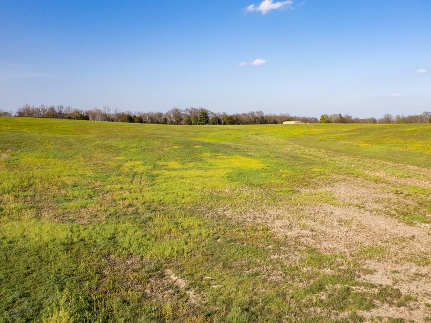 This 35.75+/- acre tract in Randolph County, Illinois offers an - photo 17