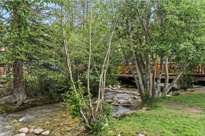 OPEN HOUSE JUL 26TH 11AM -2PM. Wake up to the sound of the Snake - photo 2