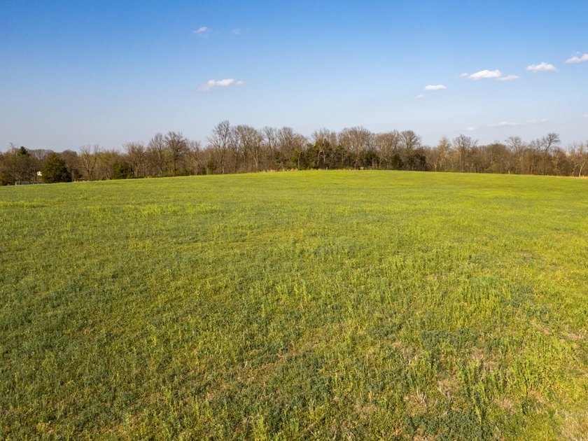 This 35.75+/- acre tract in Randolph County, Illinois offers an - photo 26