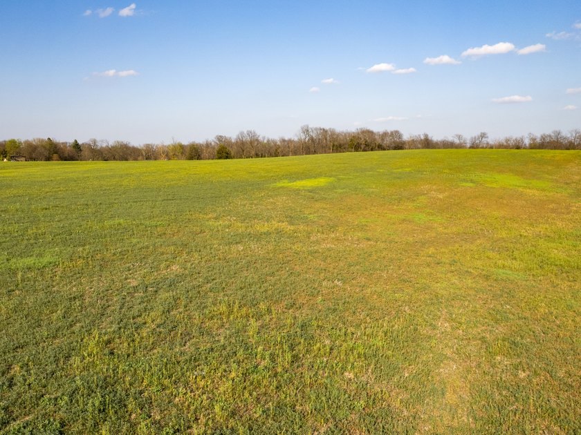 This 35.75+/- acre tract in Randolph County, Illinois offers an - photo 29