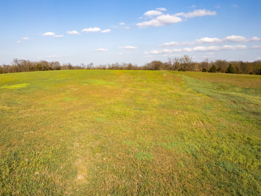 This 35.75+/- acre tract in Randolph County, Illinois offers an - photo 30