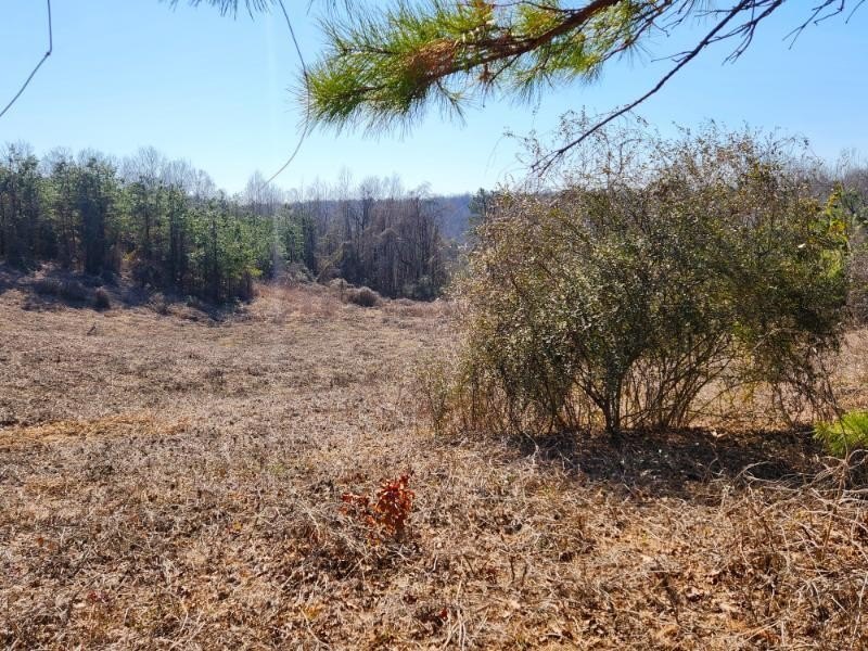 $330,000 - Nestled between Tupelo and Oxford in Pontotoc County - photo 12