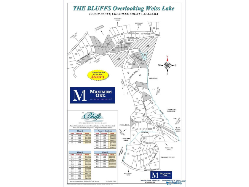 Enjoy extravagant views from the gated community of The Bluffs - photo 11
