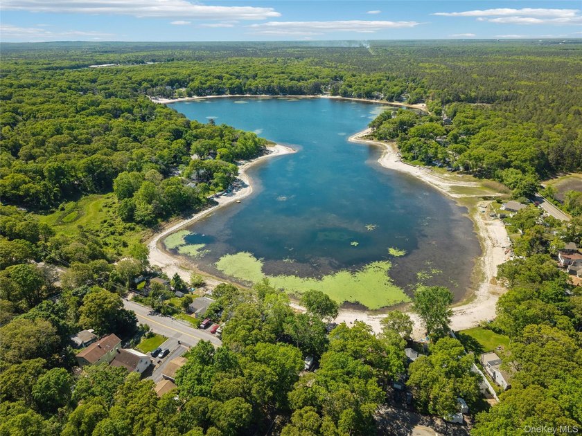Nestled in the sought-after Lake Panamoka community, this - photo 38