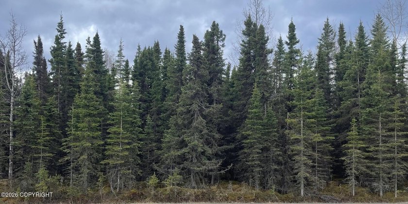 Nicely treed 0.46 acre lot with year-round road maintenance - photo 8