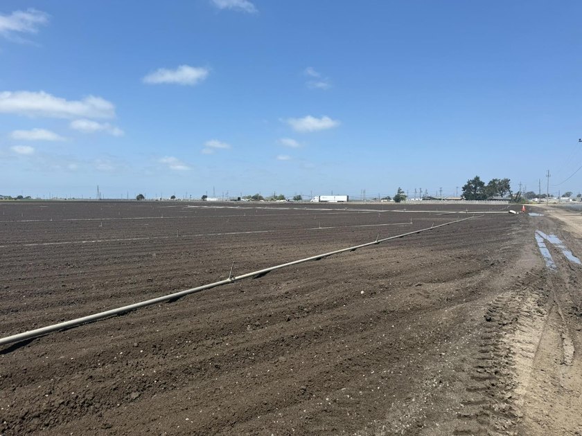 Martella Home Farm is a 20% Partnership Investment Opportunity - photo 13