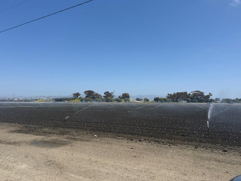 Martella Home Farm is a 20% Partnership Investment Opportunity - photo 14