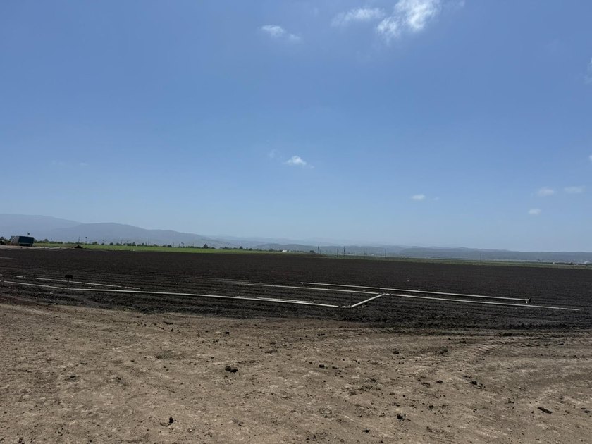Martella Home Farm is a 20% Partnership Investment Opportunity - photo 15