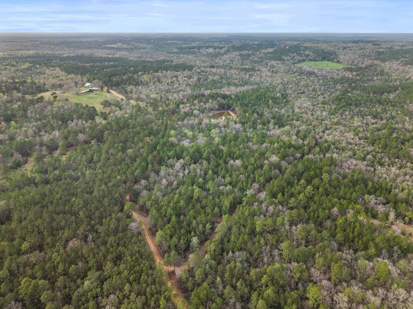 Perfect location for your dream house. Secluded partially wooded - photo 13