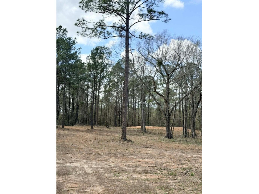 Perfect location for your dream house. Secluded partially wooded - photo 14