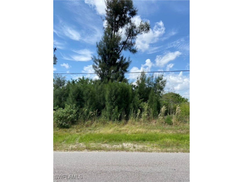 Listing photo