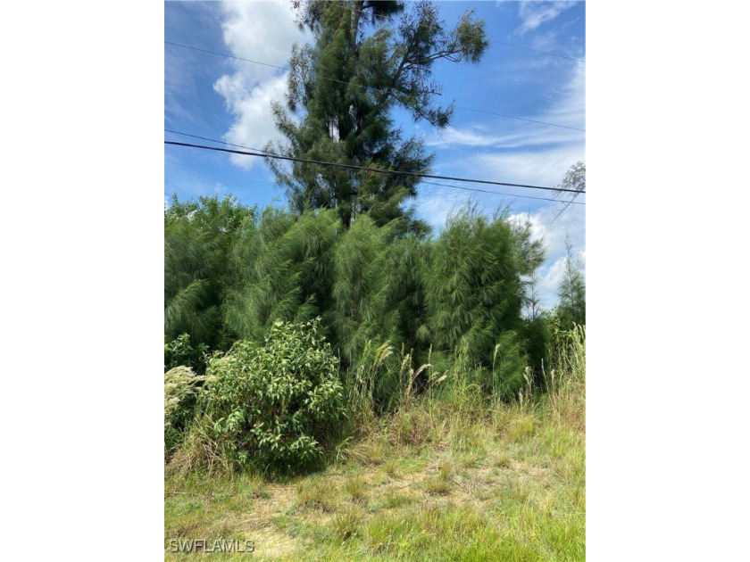 Convenient location close to many upcoming developments!! Rear - photo 6