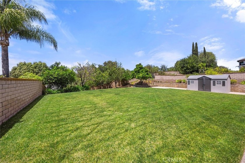 STUNNING NEFF RANCH ESTATE HOME WITH COMMERCIAL ELEVATOR! First - photo 50