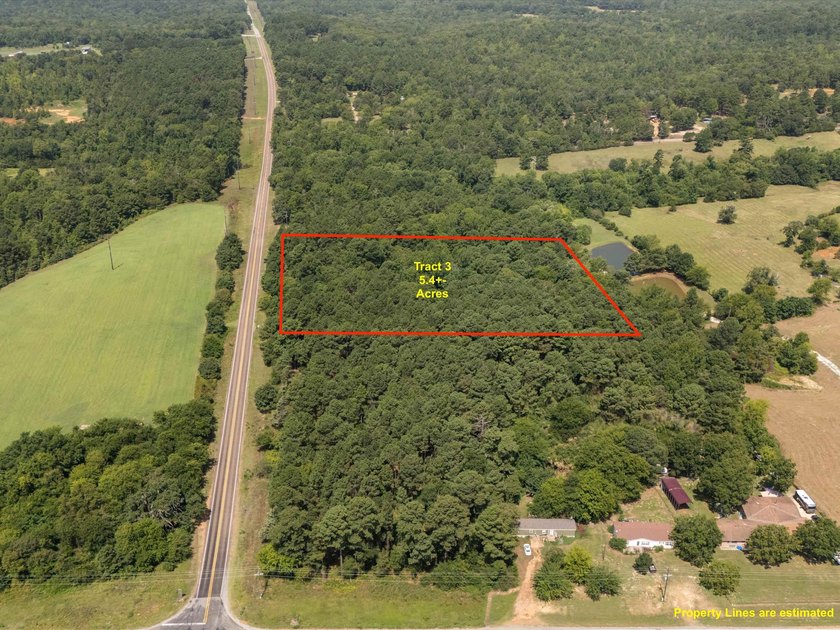 Check out these wooded tracts in a great location! Situated - photo 5