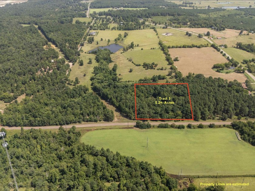 Check out these wooded tracts in a great location! Situated - photo 6