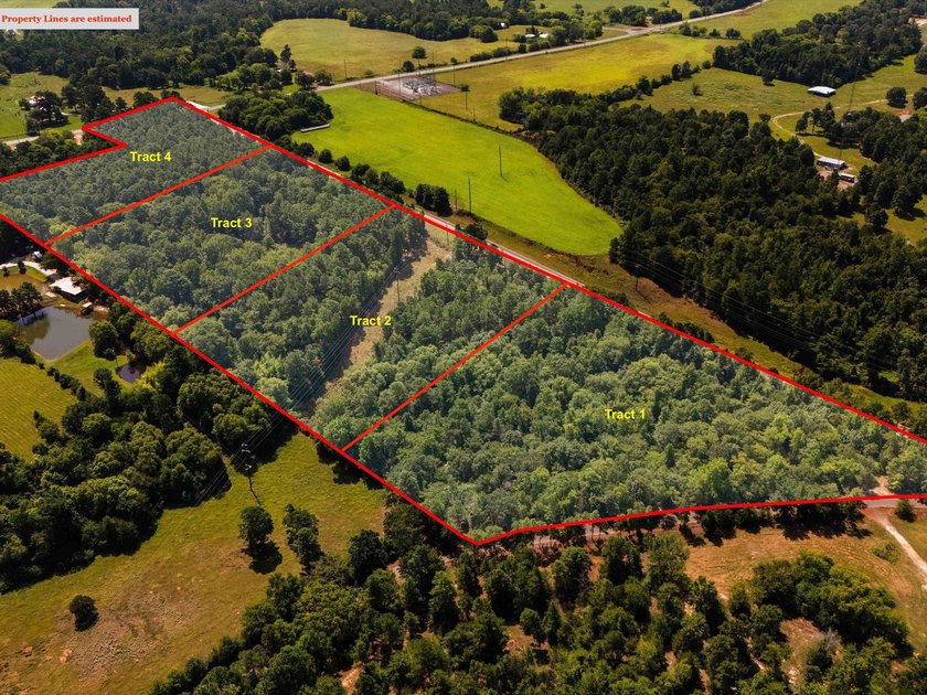 Check out these wooded tracts in a great location! Situated - photo 10