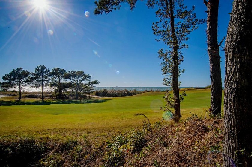 $25,000 Concession on this Premier homesite in Bay Creek's - photo 3