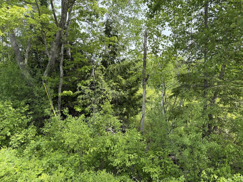 Discover the perfect spot to build your dream home on this - photo 5