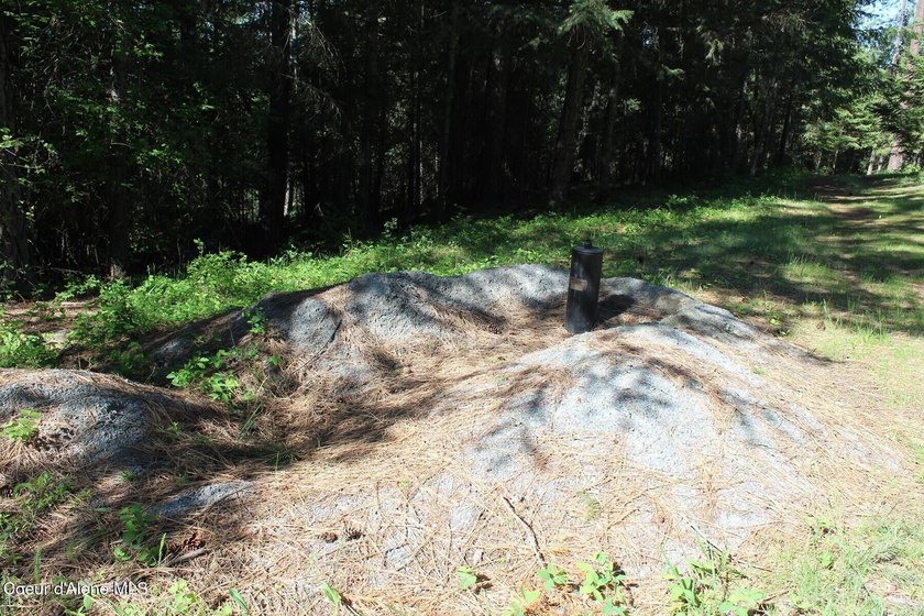 Enjoy the big mountain views and end of the road quiet privacy - photo 3