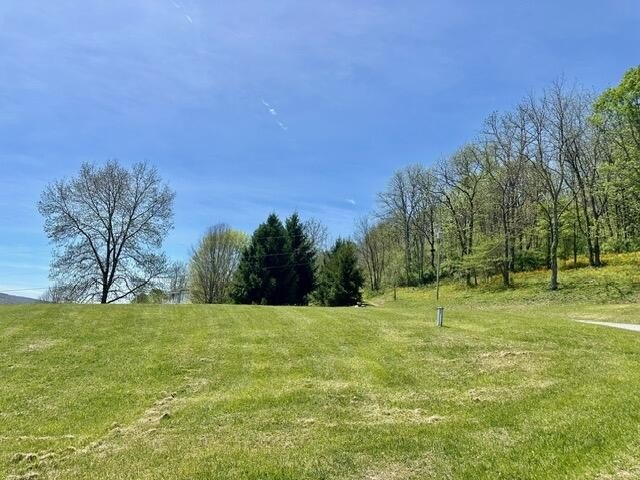 One of Pocahontas County's most magical settings, this - photo 12