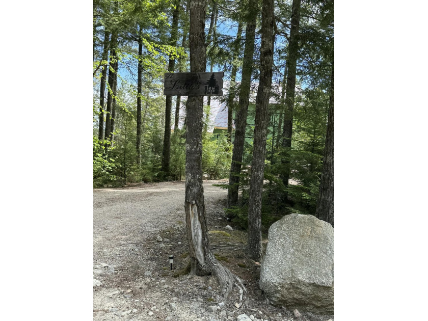 Spacious 41.04-acre parcel in Beddington featuring deeded access - photo 3