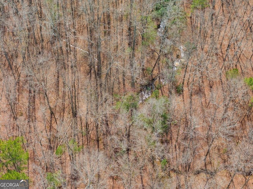 Build your dream home and have a wonderful hunting spot all in - photo 11