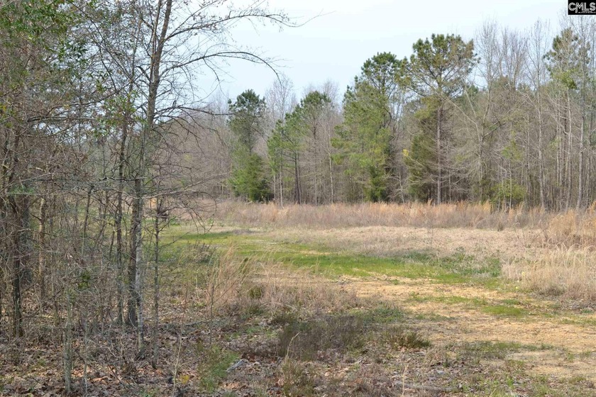 This approximately 27 acre tract is positioned in a *hot spot* - photo 12