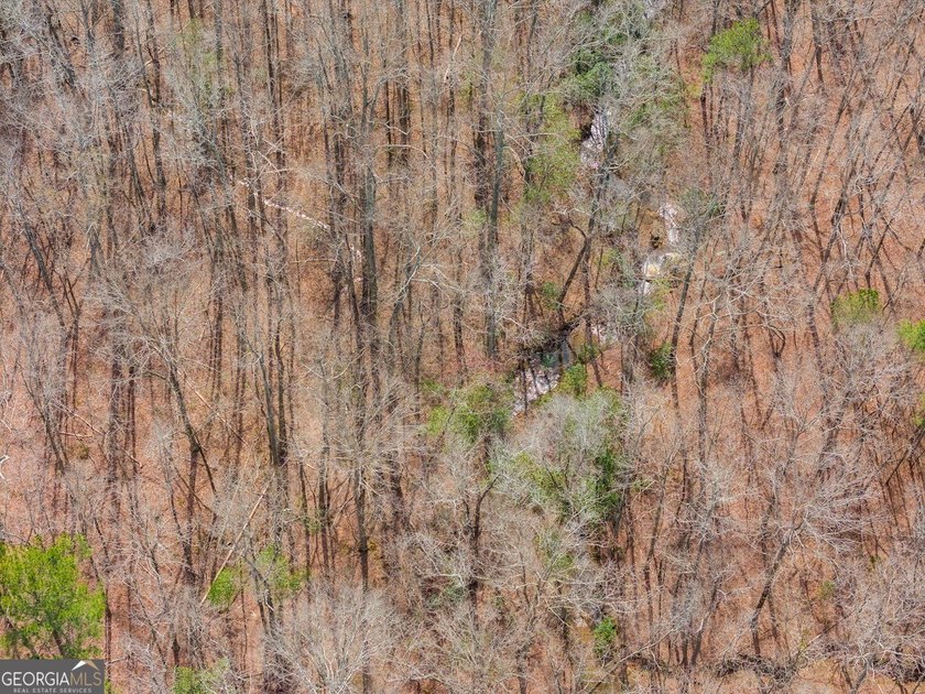 Build your dream home and have a wonderful hunting spot all in - photo 12