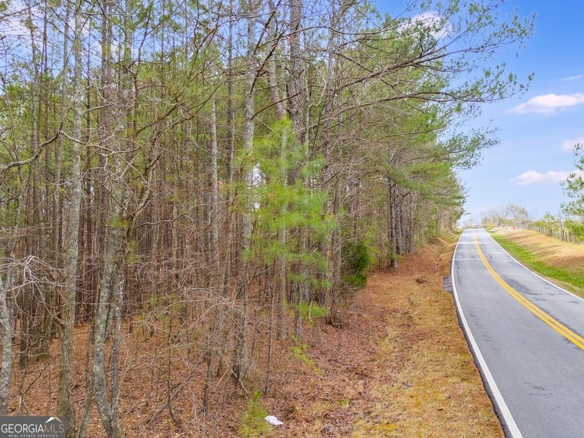 Build your dream home and have a wonderful hunting spot all in - photo 13