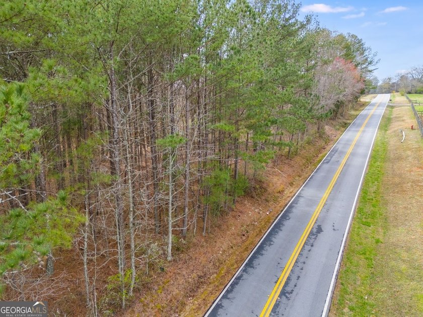 Build your dream home and have a wonderful hunting spot all in - photo 14