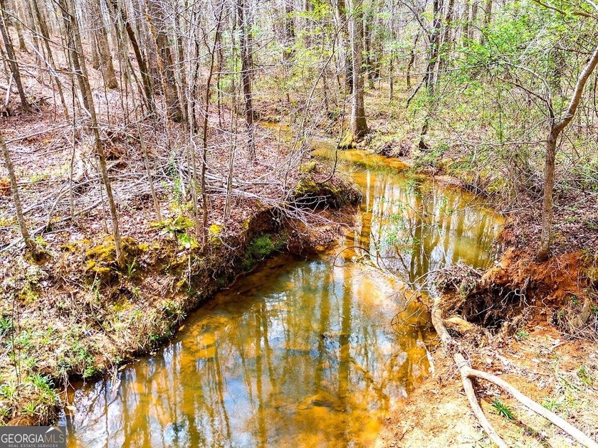 Build your dream home and have a wonderful hunting spot all in - photo 15