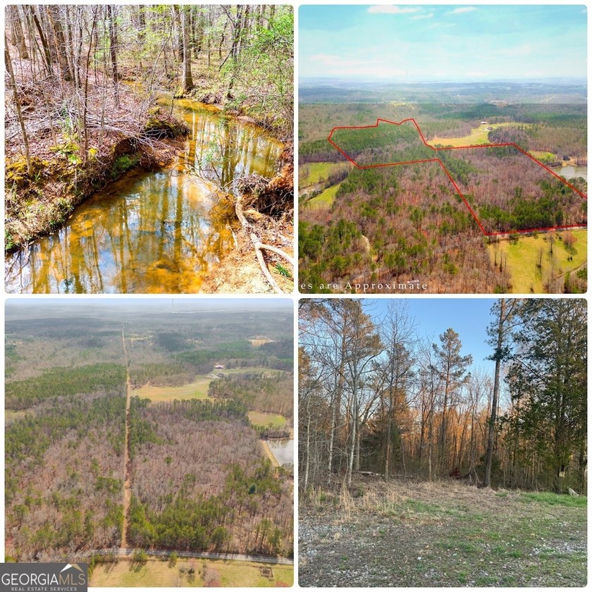 Build your dream home and have a wonderful hunting spot all in - photo 16