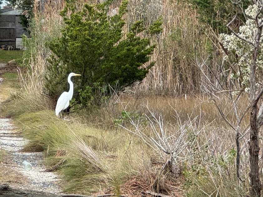 Just over one half acre of waterfront and waterview property on - photo 3