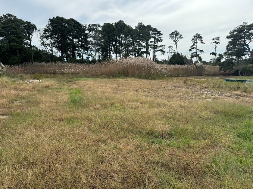 Just over one half acre of waterfront and waterview property on - photo 5