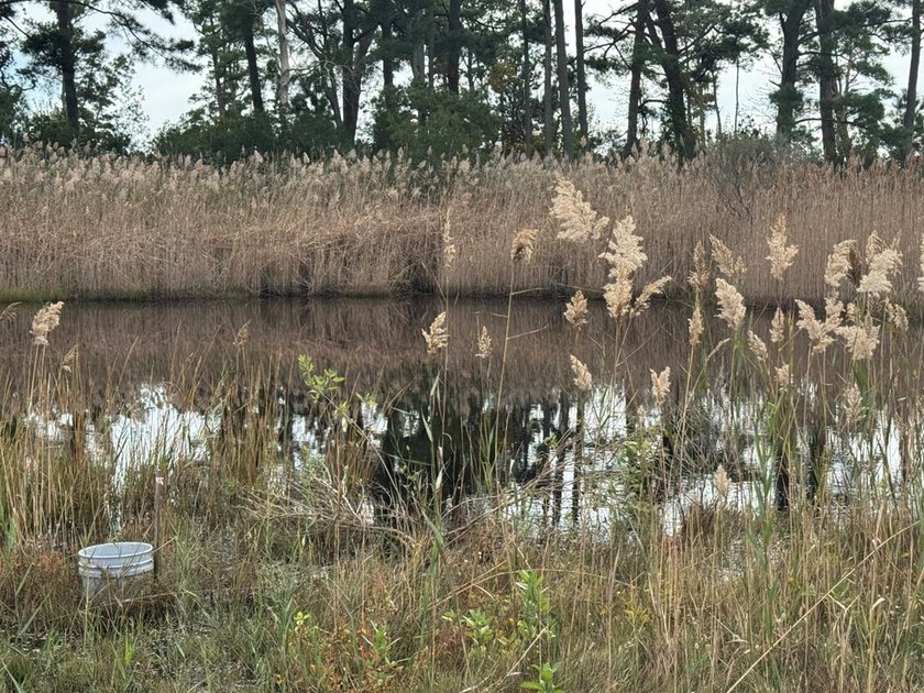 Just over one half acre of waterfront and waterview property on - photo 7