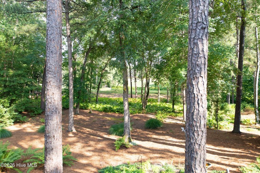 Privately nestled within the Gates of Pinewild Country Club of - photo 36