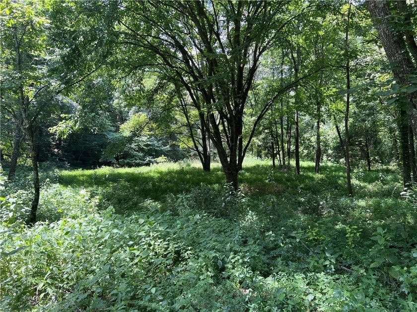 Beautiful views with this secluded log home on 207 acres m/l - photo 42